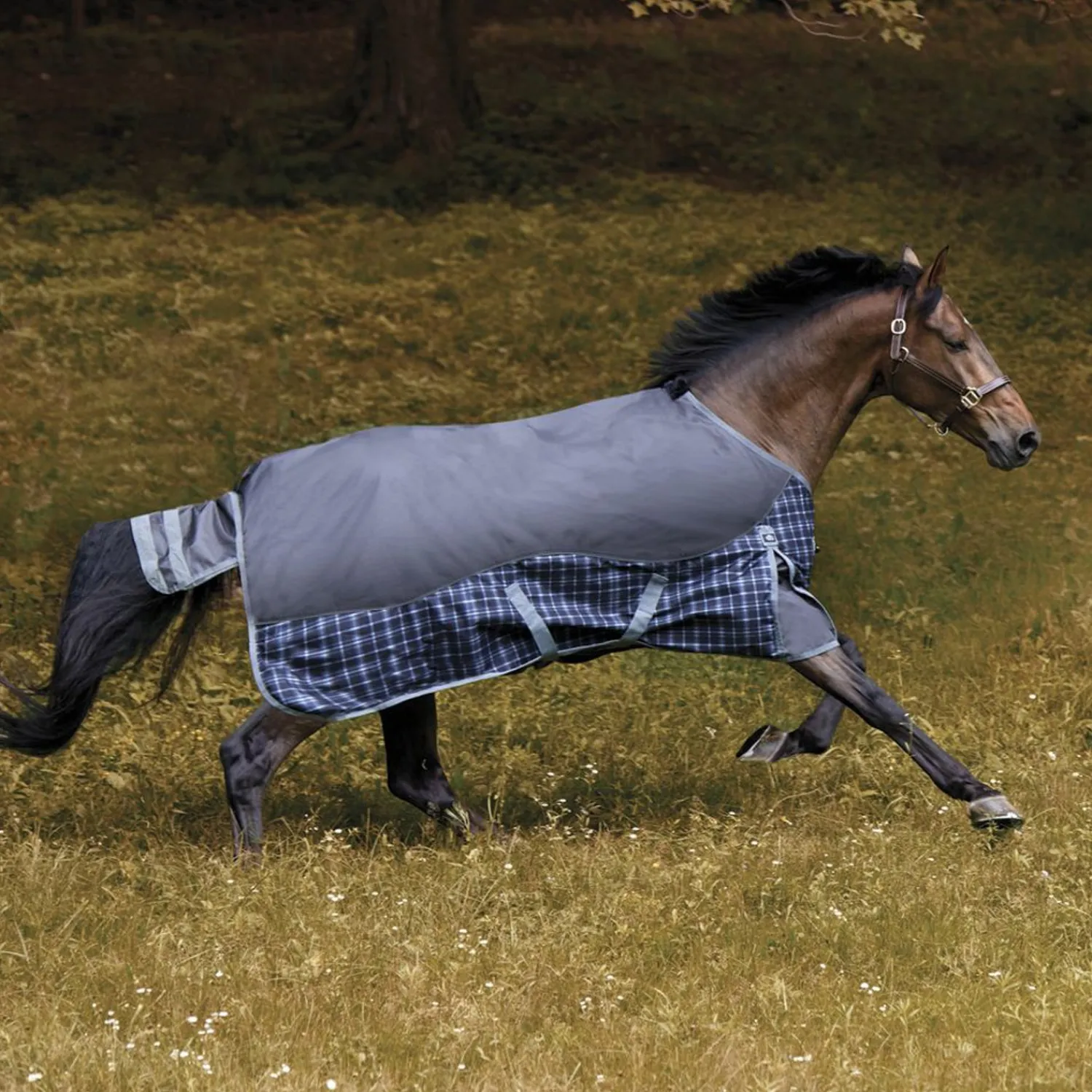 Hot CWEAR BRANCH NorthWind™ Heavyweight Turnout Blanket