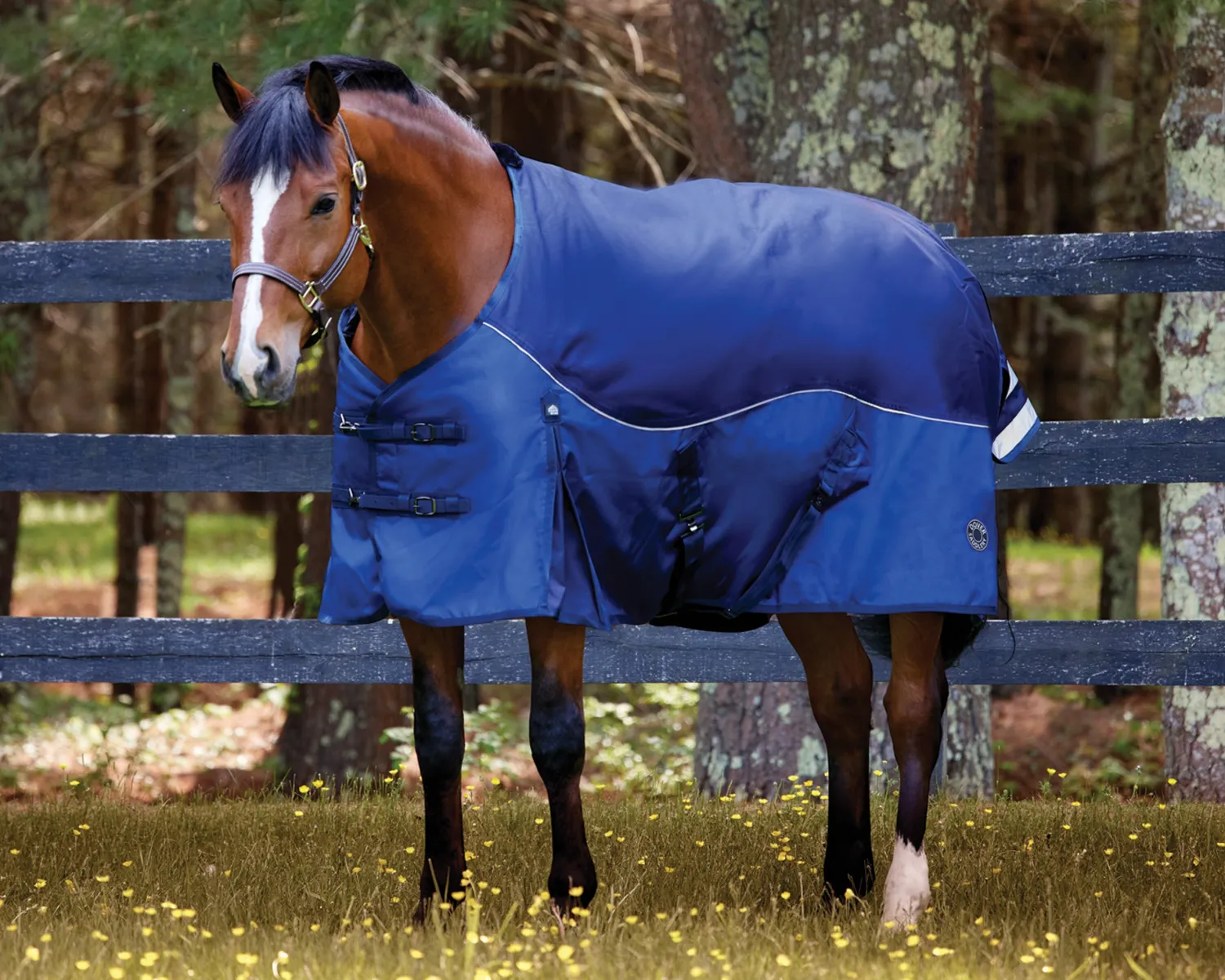 Discount CWEAR BRANCH NorthWind™ Medium-Weight Turnout Blanket