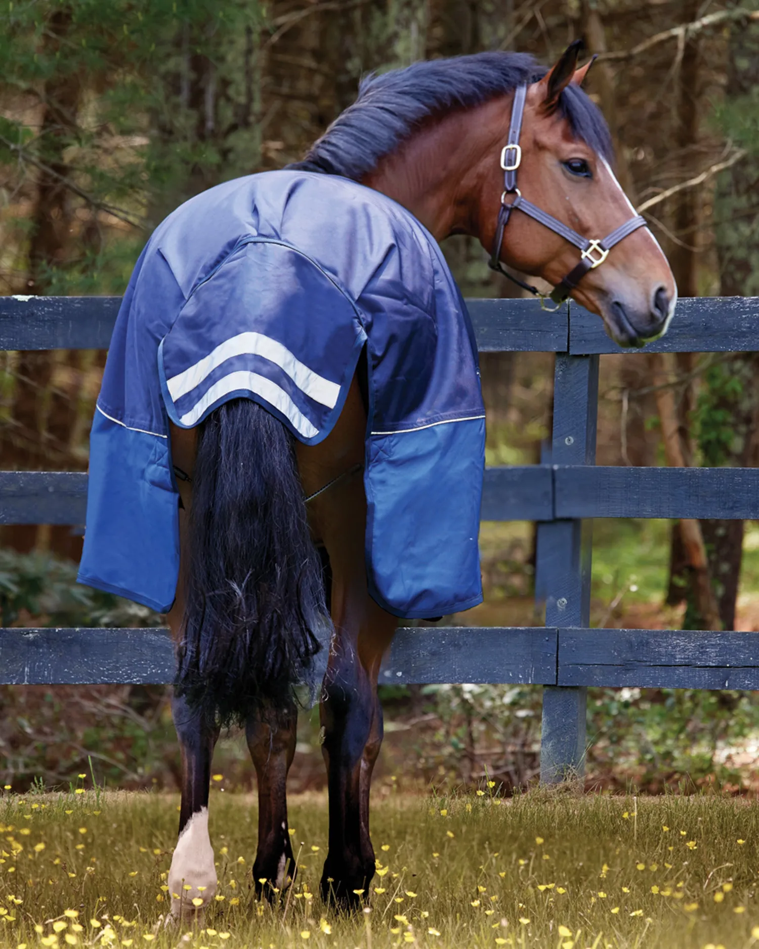 Discount CWEAR BRANCH NorthWind™ Medium-Weight Turnout Blanket