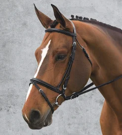 Outlet ERS Ovation® Comfort Crown Dressage Bridle Black