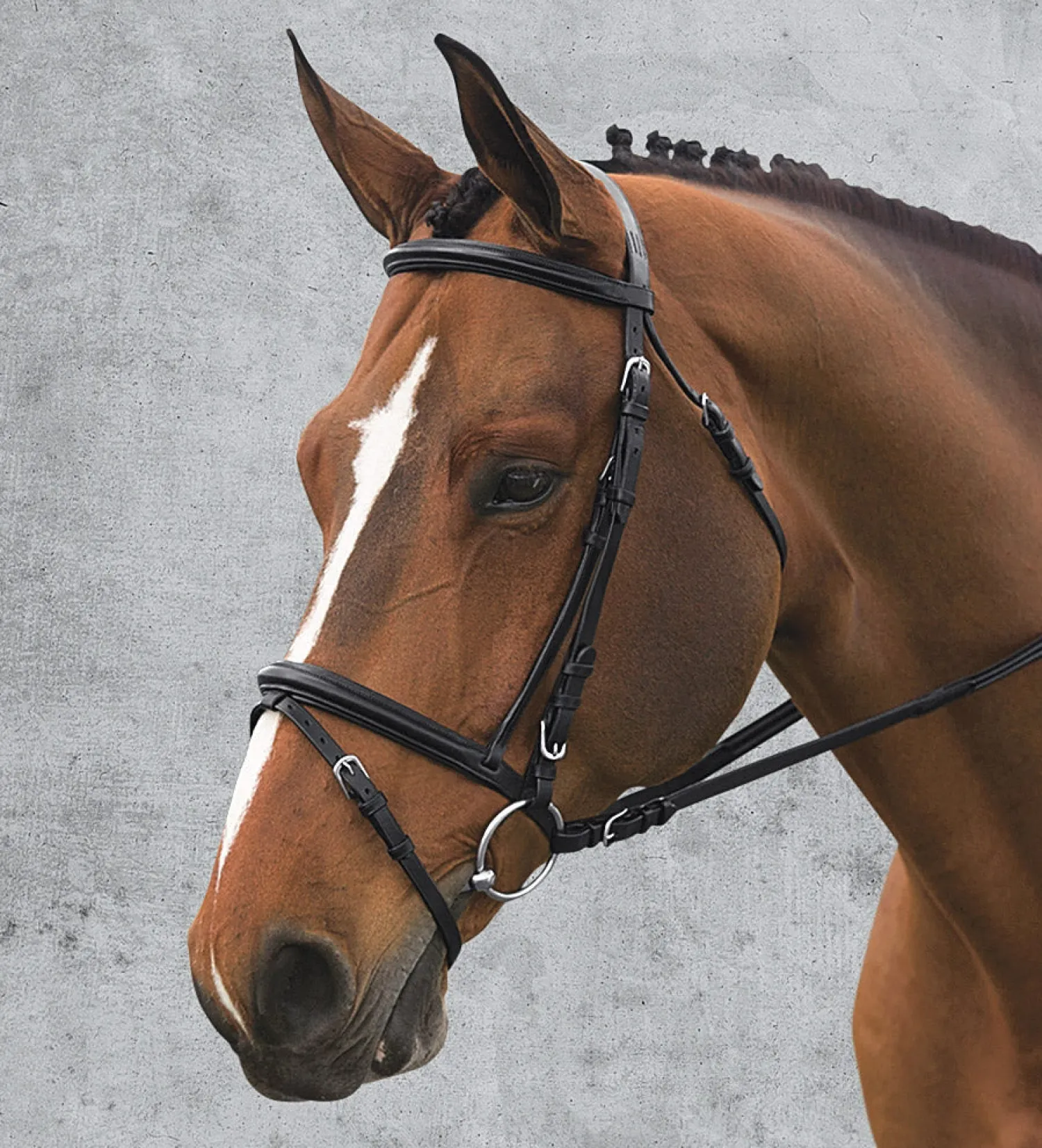 Outlet ERS Ovation® Comfort Crown Dressage Bridle Black