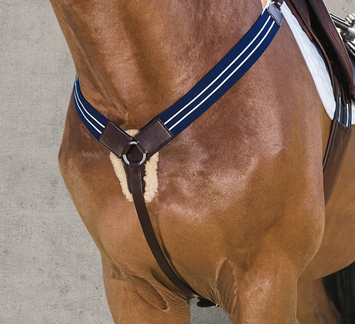 Online ERS Ovation® Elastic Breastplate Dark Brown
