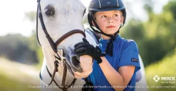 Outlet ANIMAL HEALTH INT Panacur® PowerPac