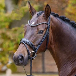 Outlet GEM-PASSIER Passier® Shadow Bridle Black Patent