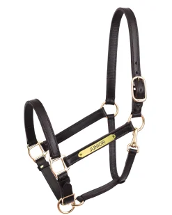 Outlet PERRIS LEATHER Perri’s® 1" Leather Turnout Halter with Nameplate