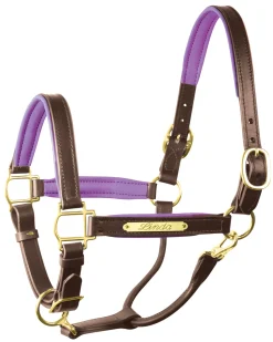 Clearance PERRIS LEATHER Perri’s® 1" Padded Leather Halter with Nameplate