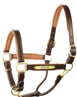 Clearance PERRIS LEATHER Perri’s® 1