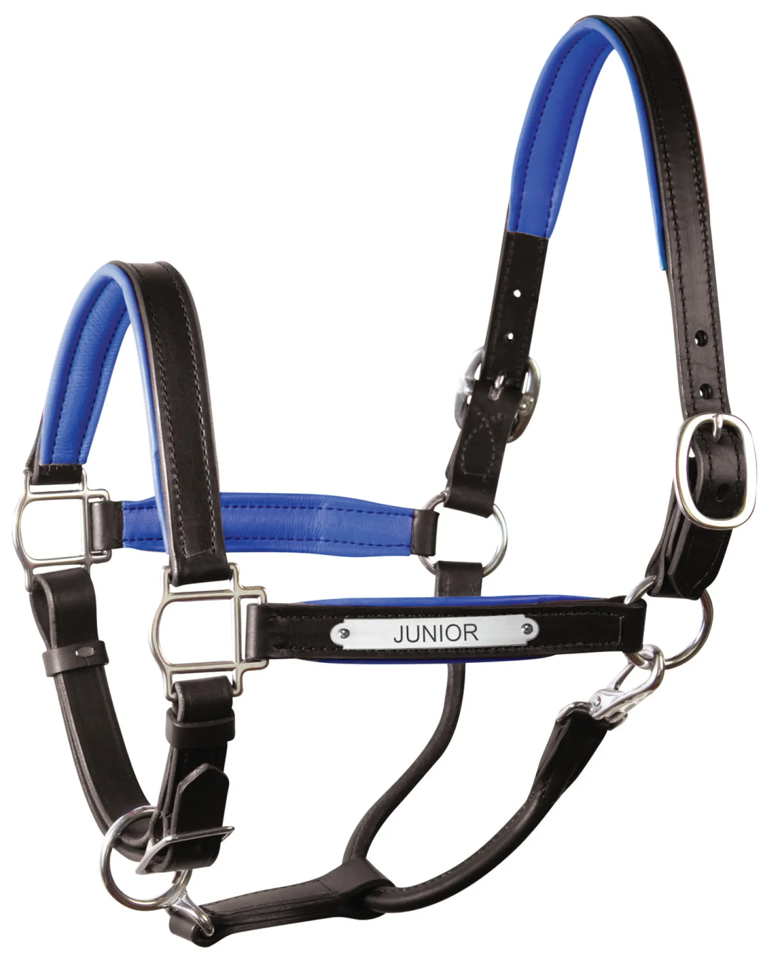 Clearance PERRIS LEATHER Perri’s® 1" Padded Leather Halter with Nameplate