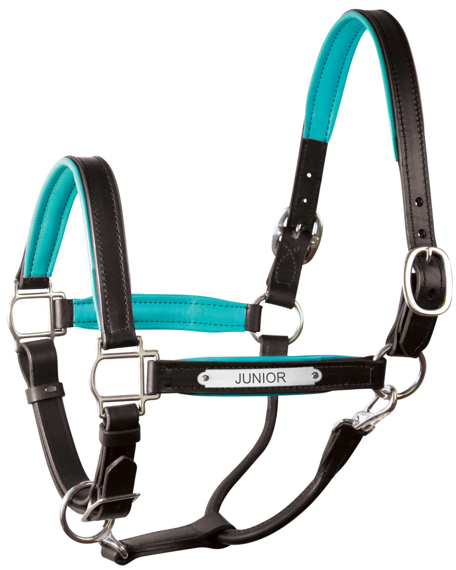 Clearance PERRIS LEATHER Perri’s® 1" Padded Leather Halter with Nameplate