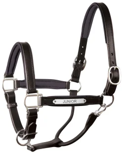 Clearance PERRIS LEATHER Perri’s® 1