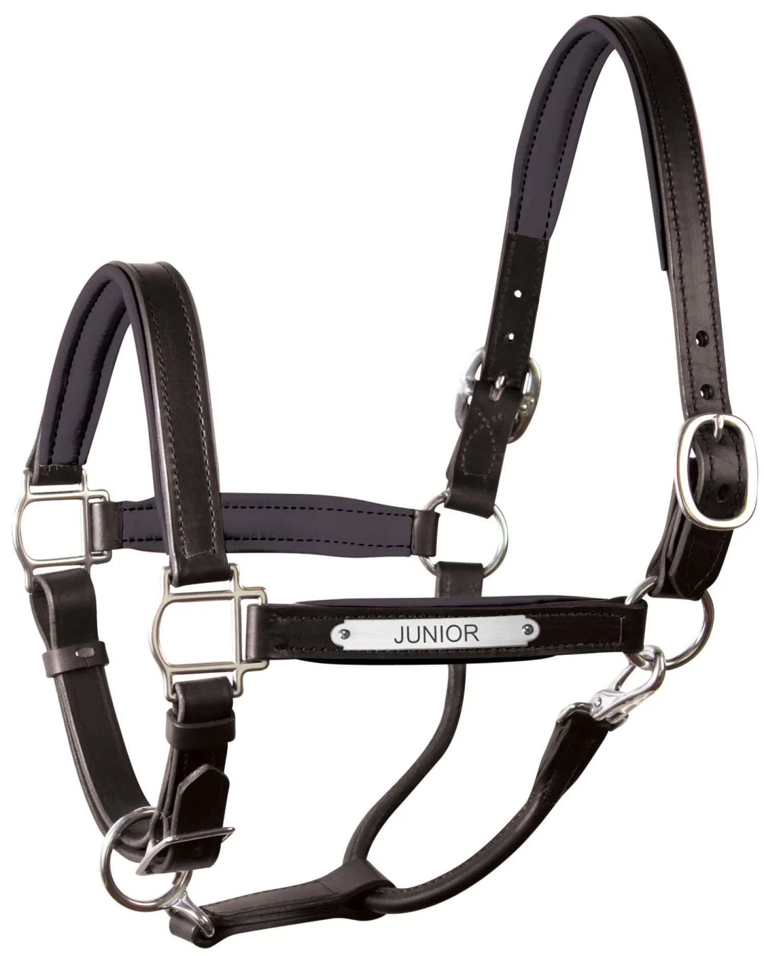 Clearance PERRIS LEATHER Perri’s® 1" Padded Leather Halter with Nameplate
