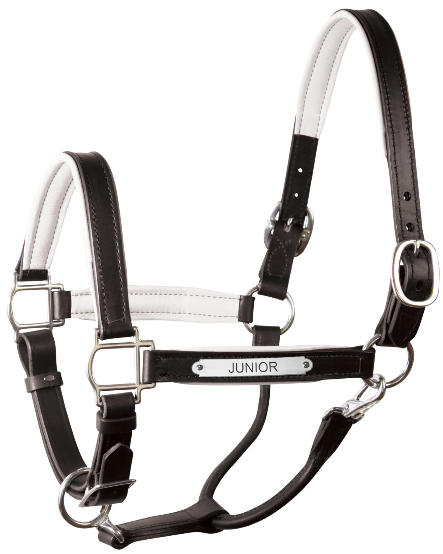 Clearance PERRIS LEATHER Perri’s® 1" Padded Leather Halter with Nameplate