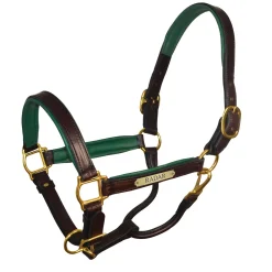 Clearance PERRIS LEATHER Perri’s® 1
