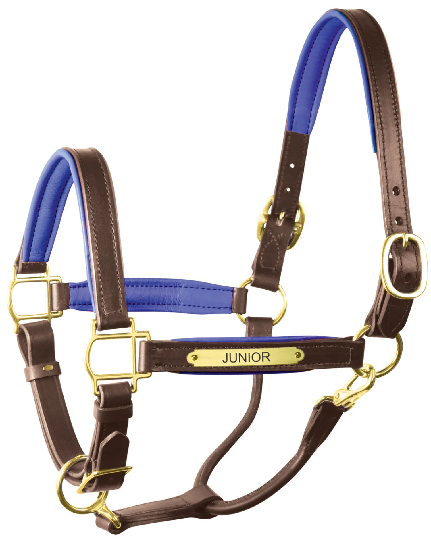 Clearance PERRIS LEATHER Perri’s® 1" Padded Leather Halter with Nameplate