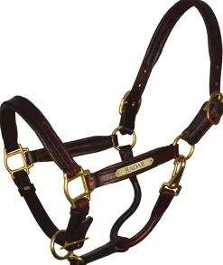 Clearance PERRIS LEATHER Perri’s® 1