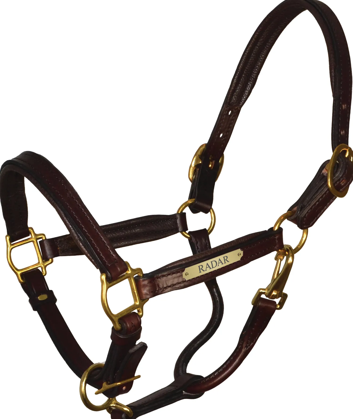 Clearance PERRIS LEATHER Perri’s® 1" Padded Leather Halter with Nameplate