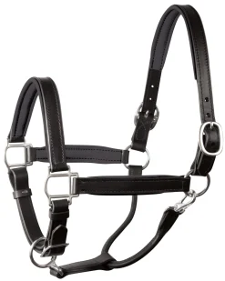 Online PERRIS LEATHER Perri’s® 1