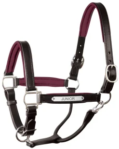 Online PERRIS LEATHER Perri’s® 1