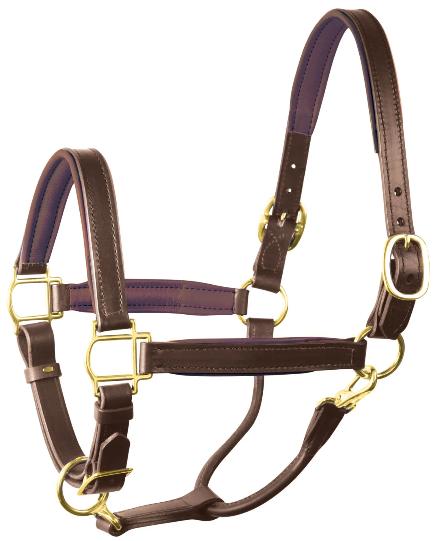Online PERRIS LEATHER Perri’s® 1" Padded Leather Halter