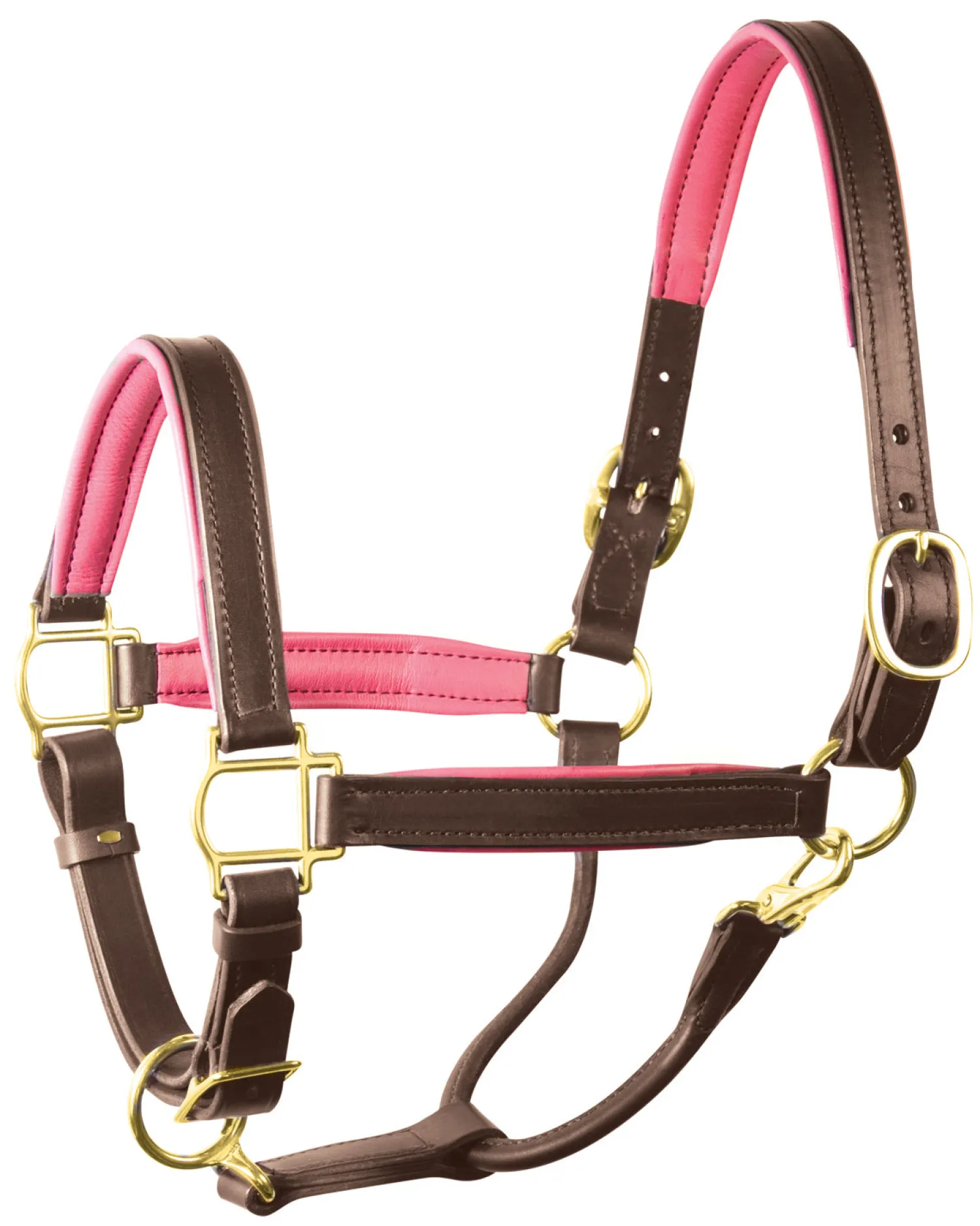 Online PERRIS LEATHER Perri’s® 1" Padded Leather Halter