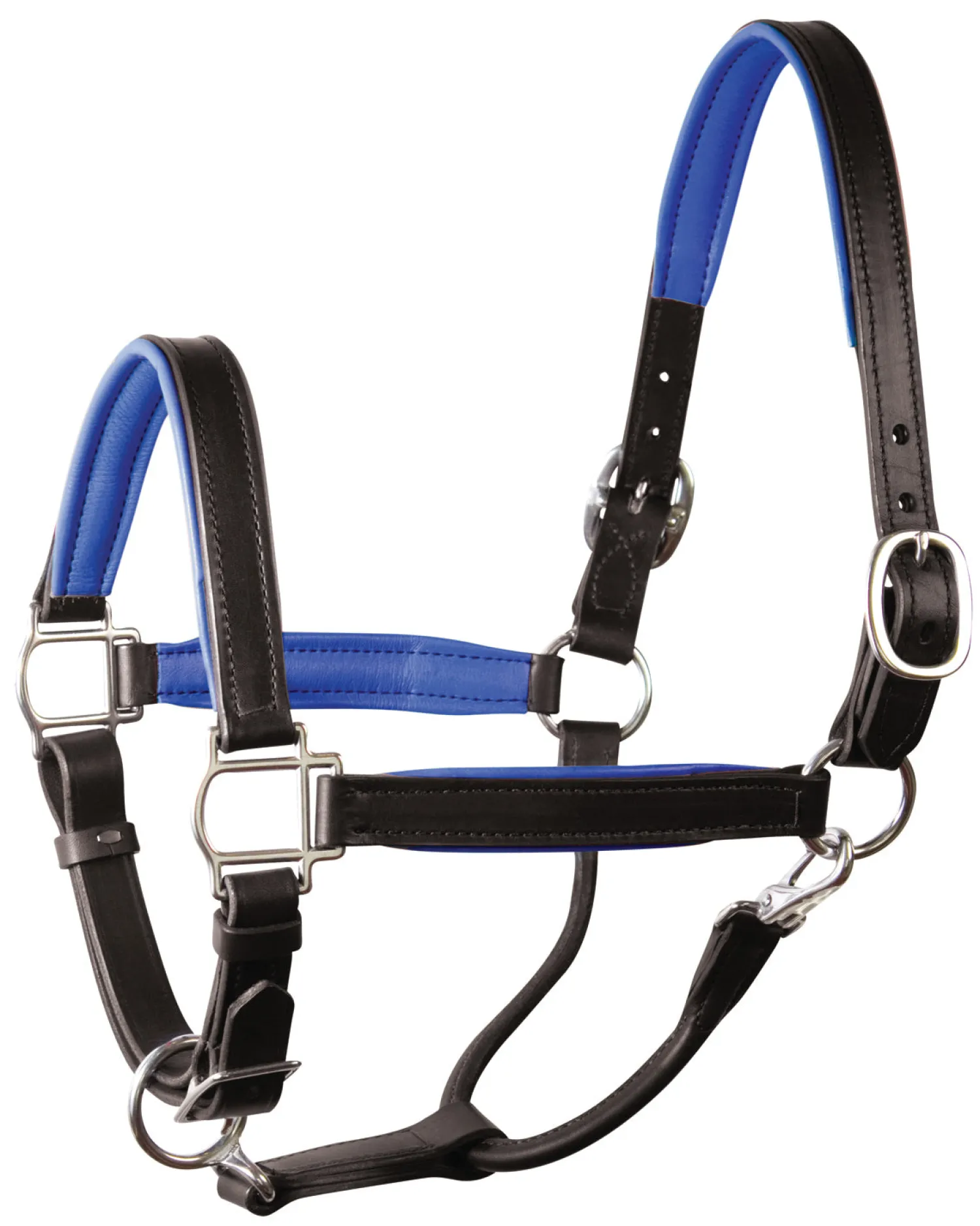 Online PERRIS LEATHER Perri’s® 1" Padded Leather Halter