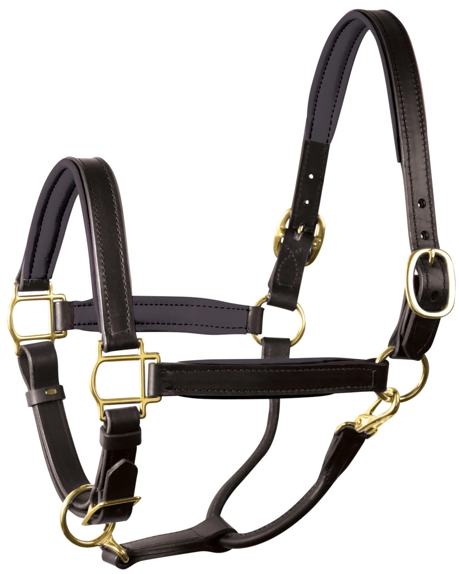 Online PERRIS LEATHER Perri’s® 1" Padded Leather Halter