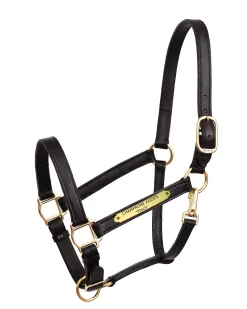 New PERRIS LEATHER Perri’s® Draft Leather Turnout Halter
