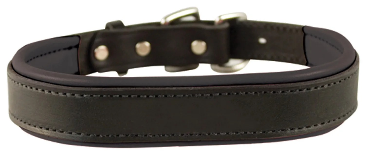 Best PERRIS LEATHER Perri’s® Padded Leather Nameplate Dog Collar