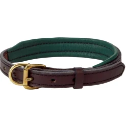 Best PERRIS LEATHER Perri’s® Padded Leather Nameplate Dog Collar