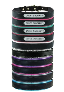 Best PERRIS LEATHER Perri’s® Padded Leather Nameplate Dog Collar