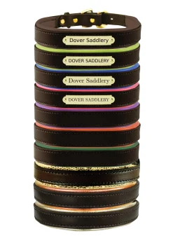 Best PERRIS LEATHER Perri’s® Padded Leather Nameplate Dog Collar