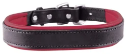 Best PERRIS LEATHER Perri’s® Padded Leather Nameplate Dog Collar
