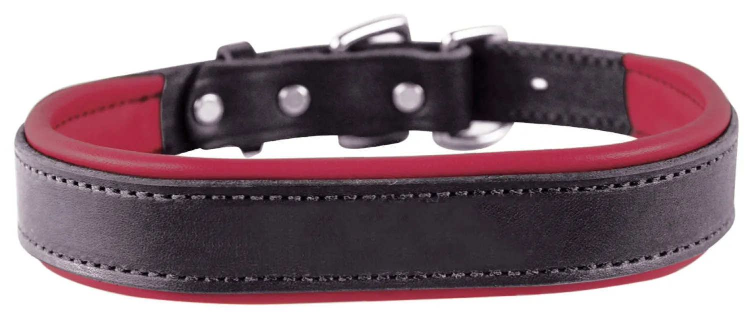 Best PERRIS LEATHER Perri’s® Padded Leather Nameplate Dog Collar
