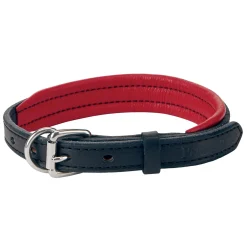 Best PERRIS LEATHER Perri’s® Padded Leather Nameplate Dog Collar