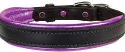 Best PERRIS LEATHER Perri’s® Padded Leather Nameplate Dog Collar