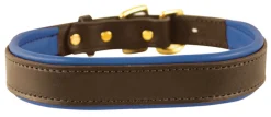 Best PERRIS LEATHER Perri’s® Padded Leather Nameplate Dog Collar