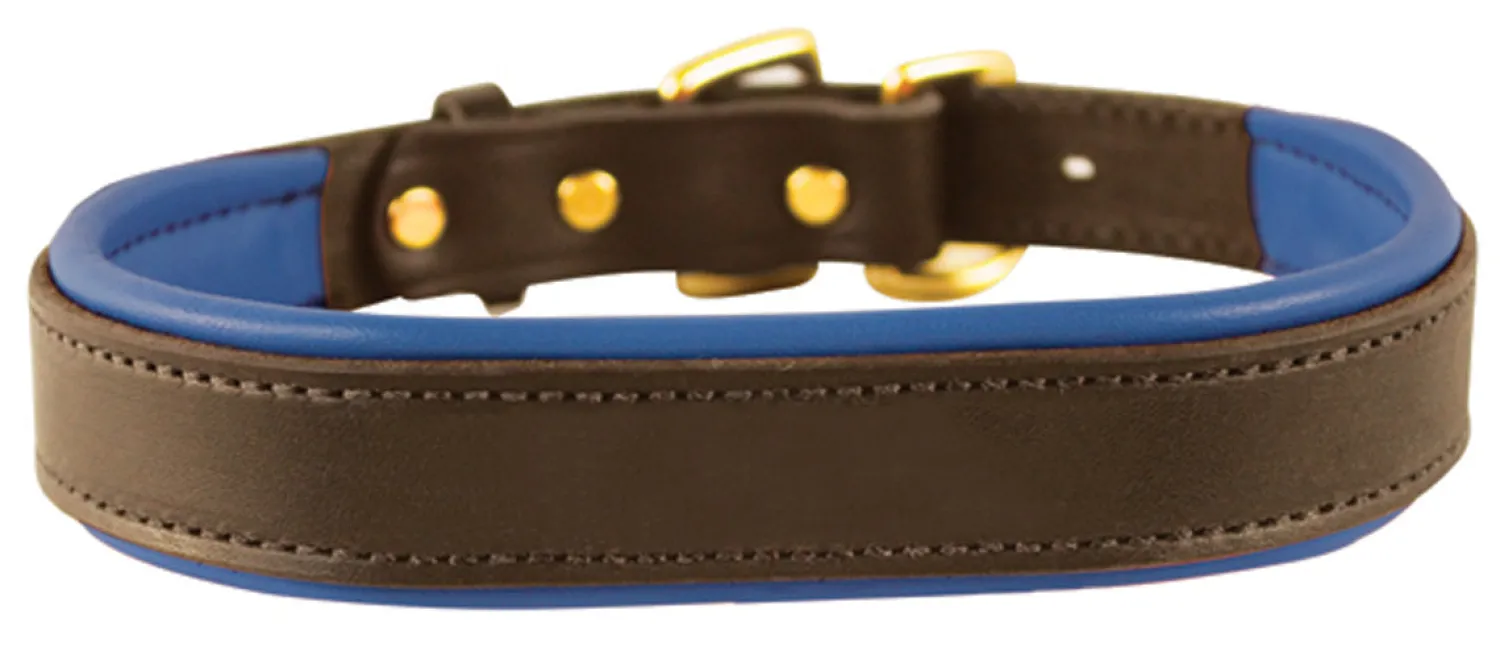 Best PERRIS LEATHER Perri’s® Padded Leather Nameplate Dog Collar