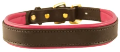 Best PERRIS LEATHER Perri’s® Padded Leather Nameplate Dog Collar