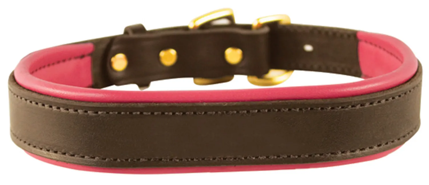 Best PERRIS LEATHER Perri’s® Padded Leather Nameplate Dog Collar