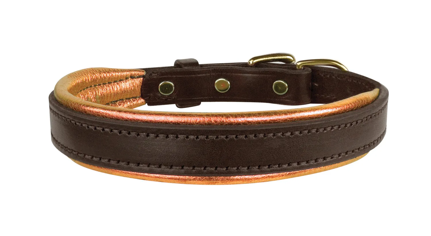 Best PERRIS LEATHER Perri’s® Padded Leather Nameplate Dog Collar