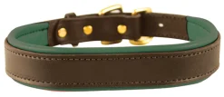 Best PERRIS LEATHER Perri’s® Padded Leather Nameplate Dog Collar