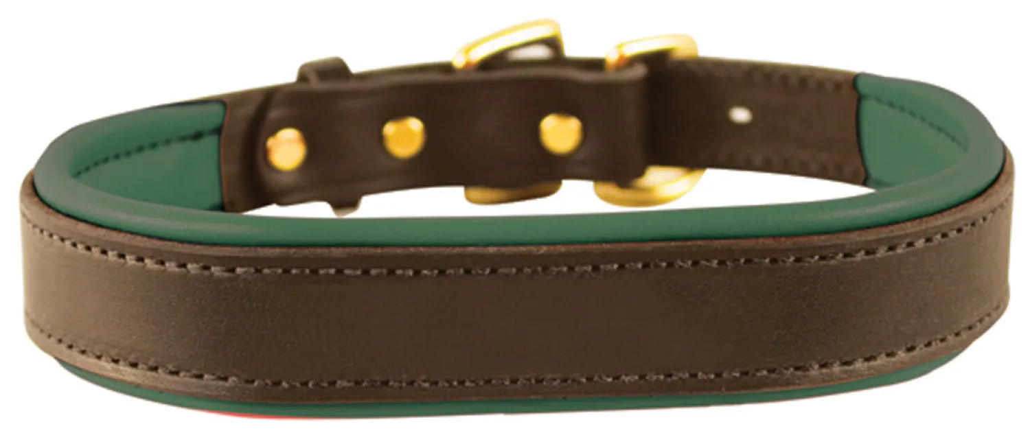 Best PERRIS LEATHER Perri’s® Padded Leather Nameplate Dog Collar