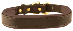 Best PERRIS LEATHER Perri’s® Padded Leather Nameplate Dog Collar