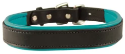 Best PERRIS LEATHER Perri’s® Padded Leather Nameplate Dog Collar