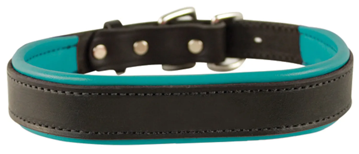 Best PERRIS LEATHER Perri’s® Padded Leather Nameplate Dog Collar