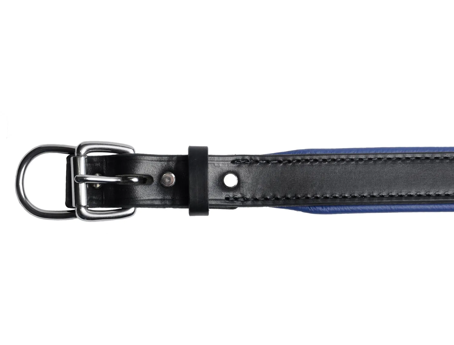 Best PERRIS LEATHER Perri’s® Padded Leather Nameplate Dog Collar