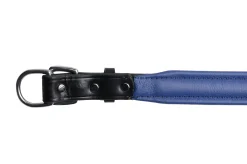 Best PERRIS LEATHER Perri’s® Padded Leather Nameplate Dog Collar