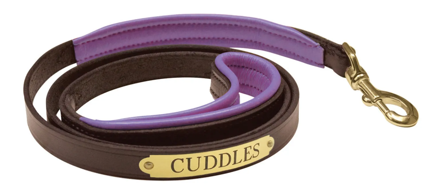 Discount PERRIS LEATHER Perri’s® Padded Leather Nameplate Dog Leash