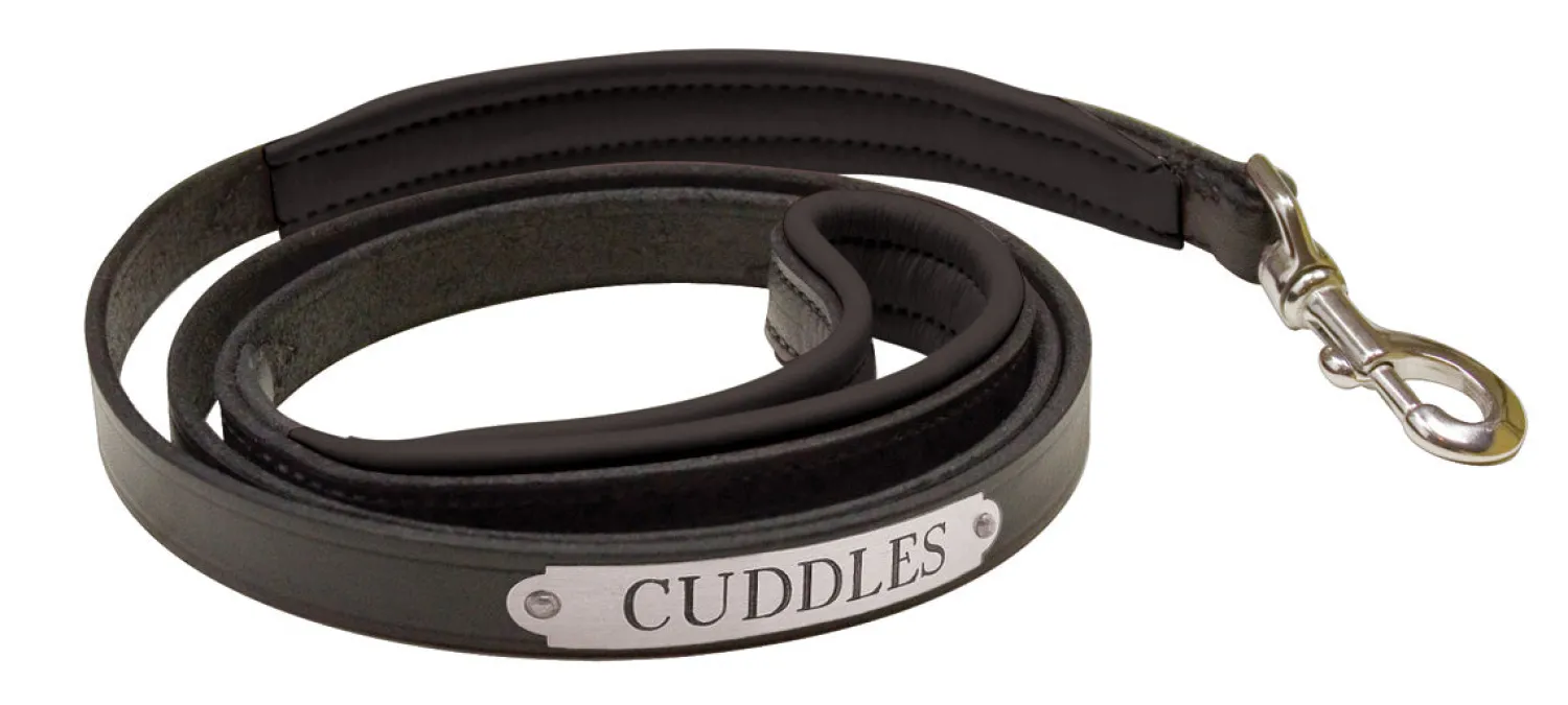 Discount PERRIS LEATHER Perri’s® Padded Leather Nameplate Dog Leash
