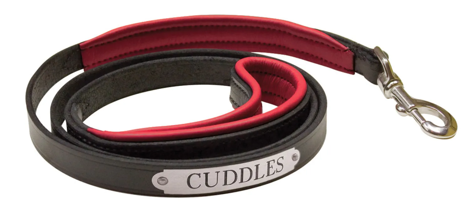 Discount PERRIS LEATHER Perri’s® Padded Leather Nameplate Dog Leash